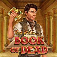Book of Dead game cover